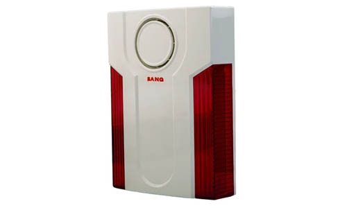 اسپیکر وایرلس BAW_483 S
